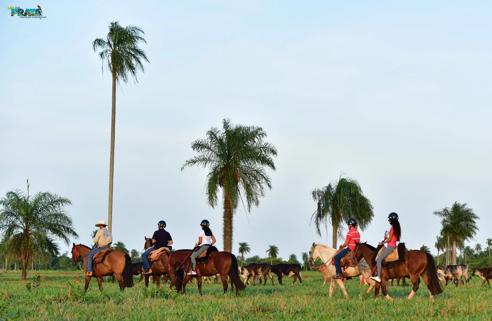 Recanto Ecológico Rio da Prata - Cavalgada - Bonito-MS
