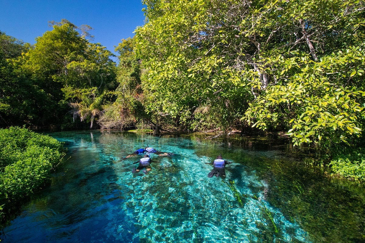 Barra do Sucuri - Bonito MS