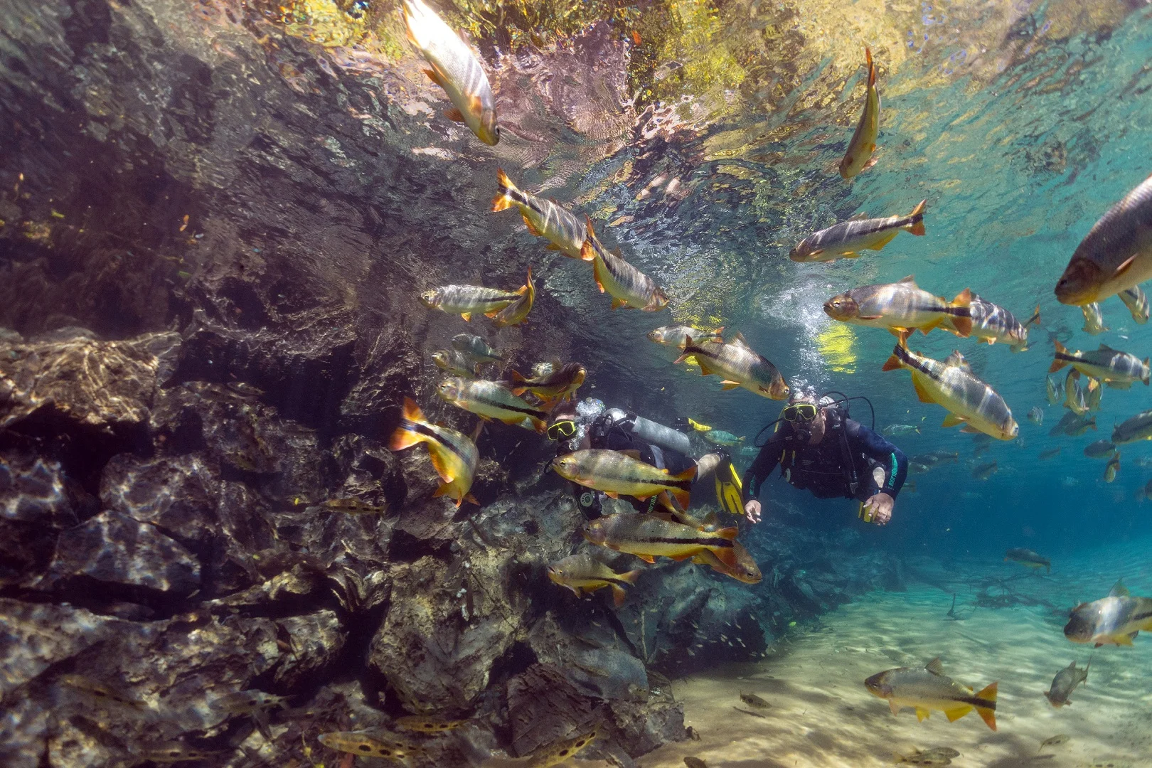 Rio da Prata - Mergulho