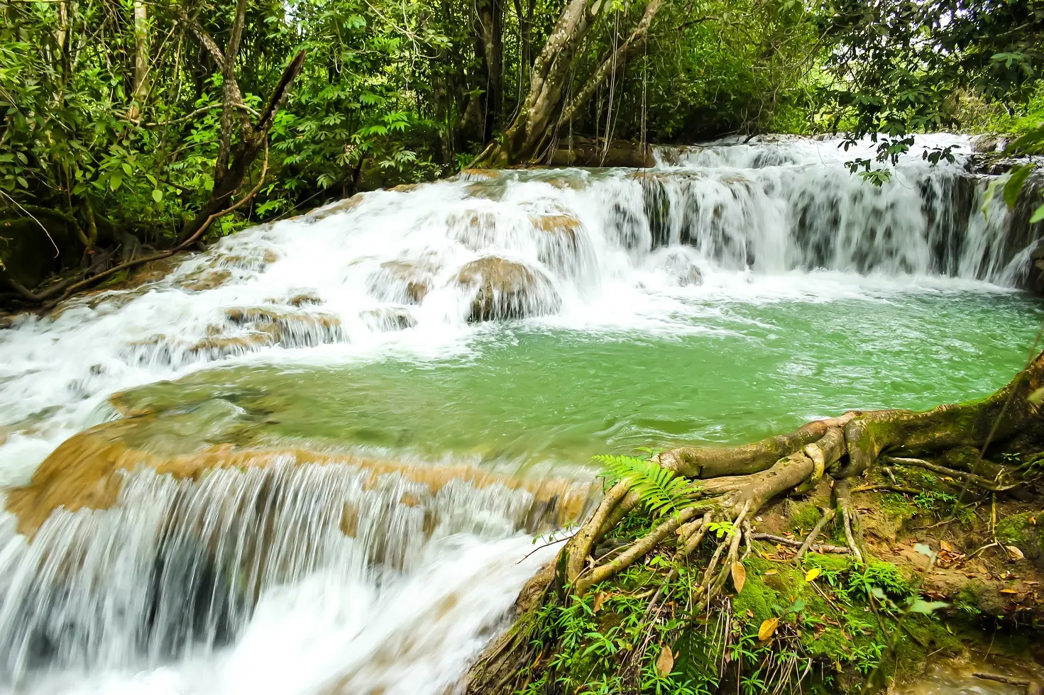 Serra da Bodoquena