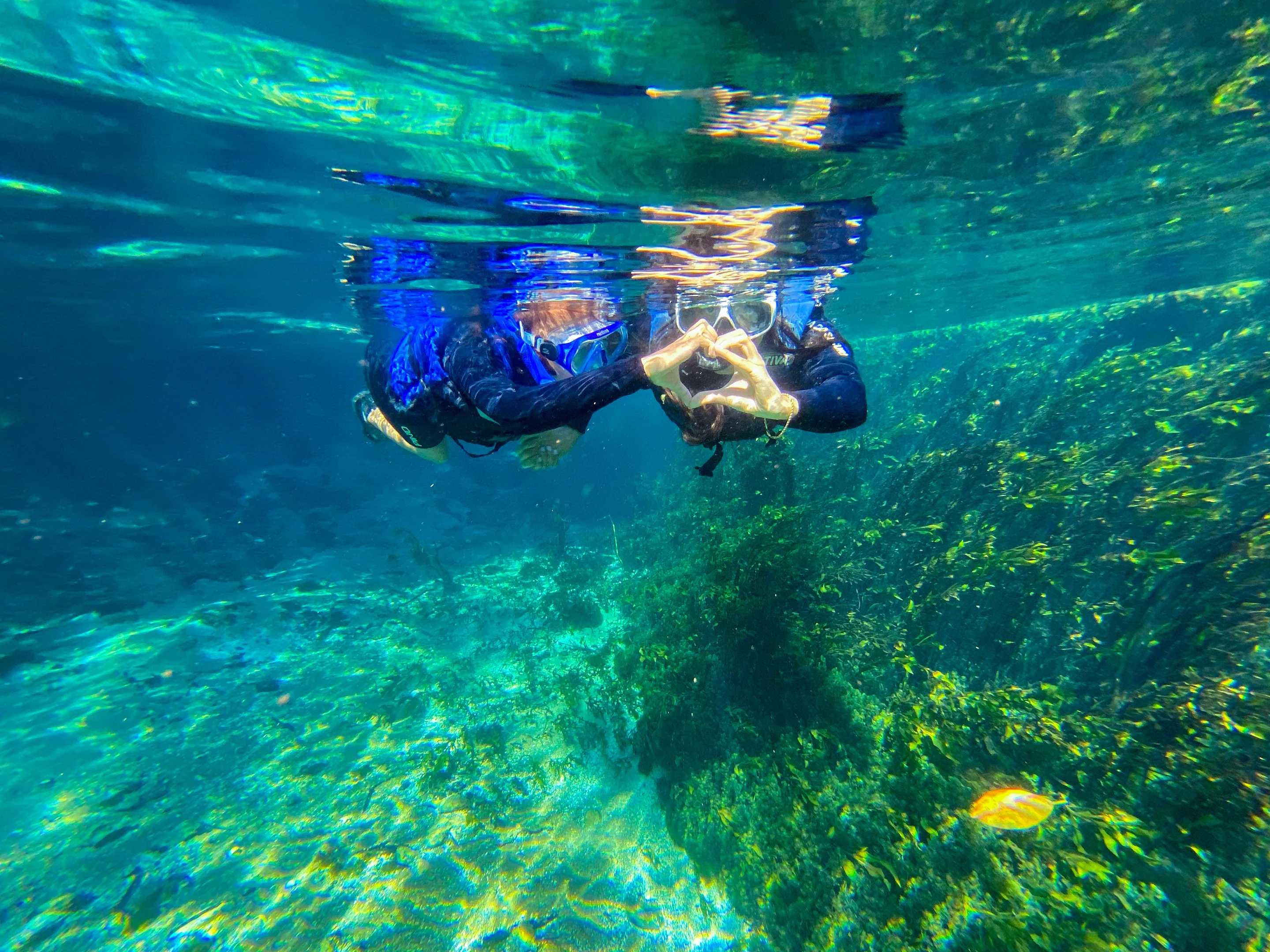 Barra do Sucuri - Bonito MS