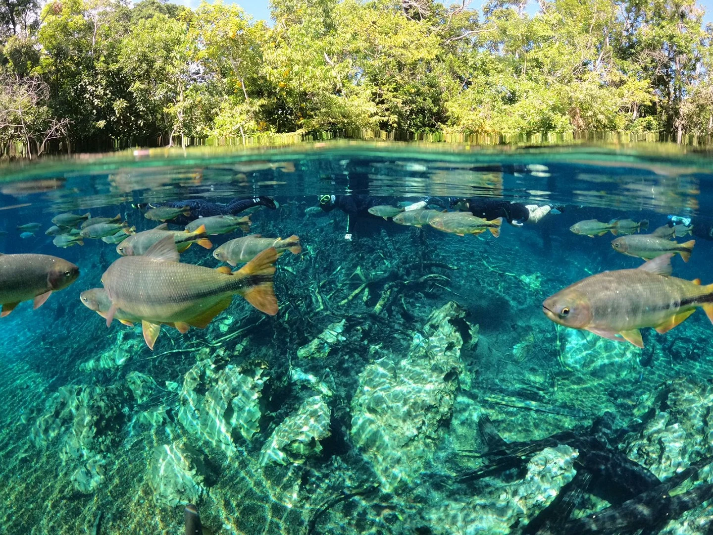 Recanto Ecológico Rio da Prata