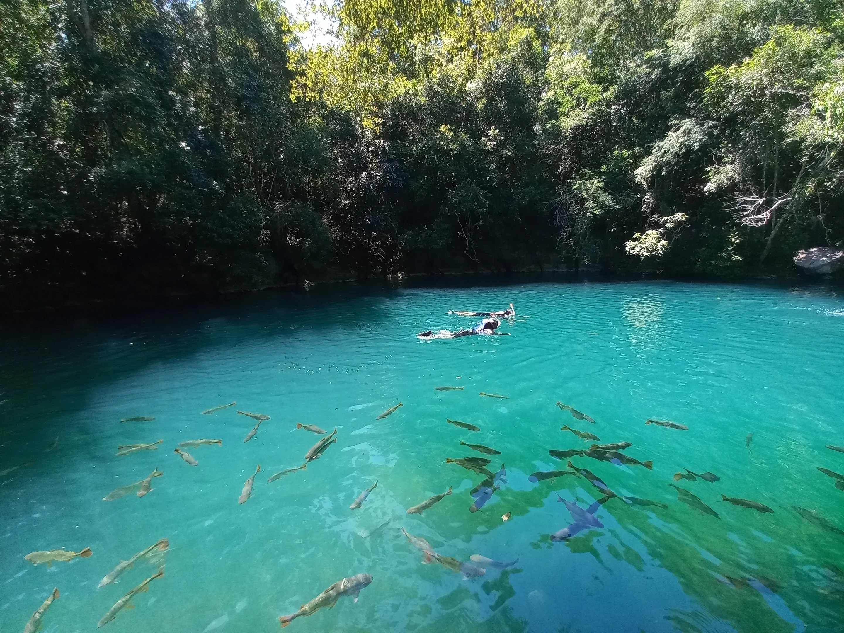 Recanto Ecológico Rio da Prata