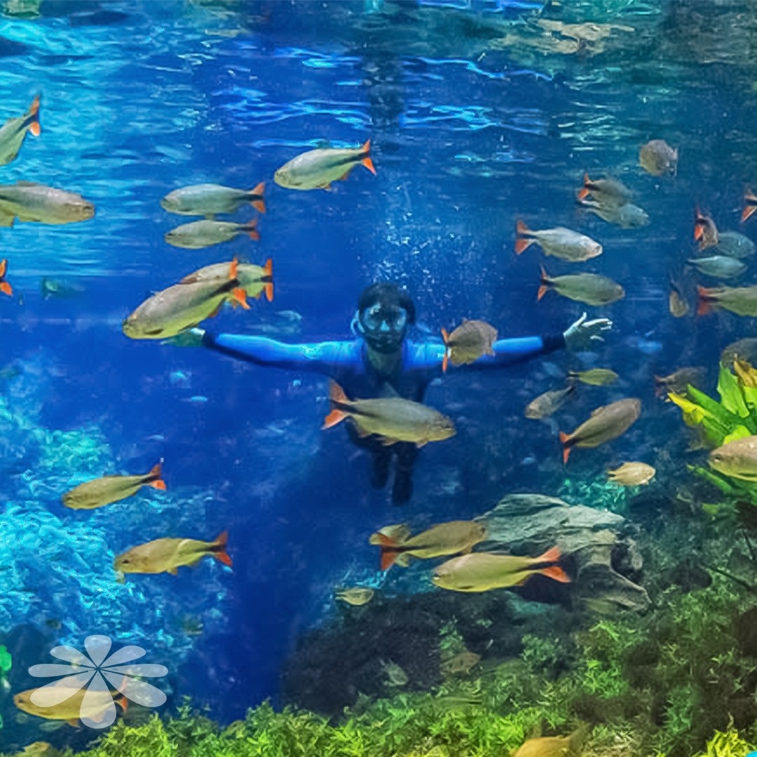 Nascente Azul - Museu Subaquático - Bonito-MS