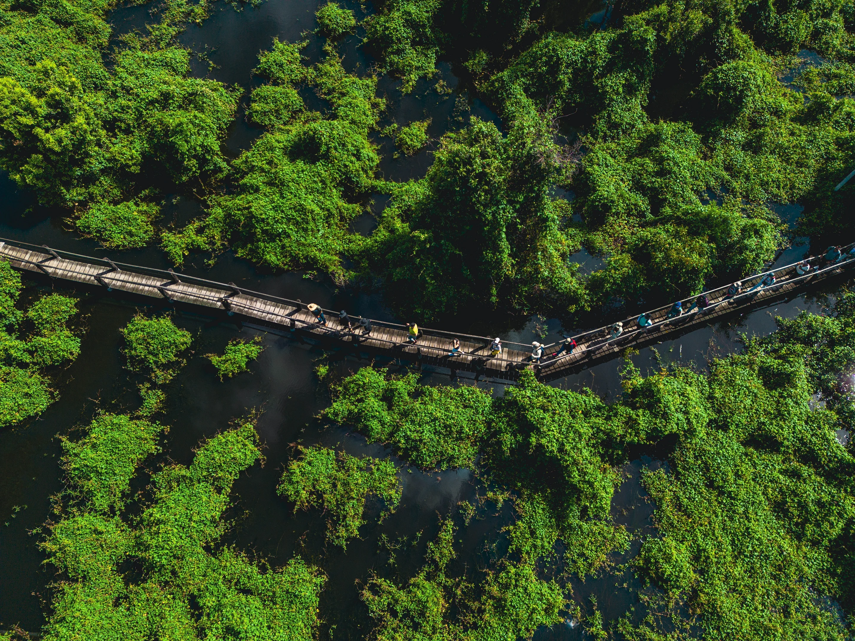 Fazenda San Francisco - Pantanal MS