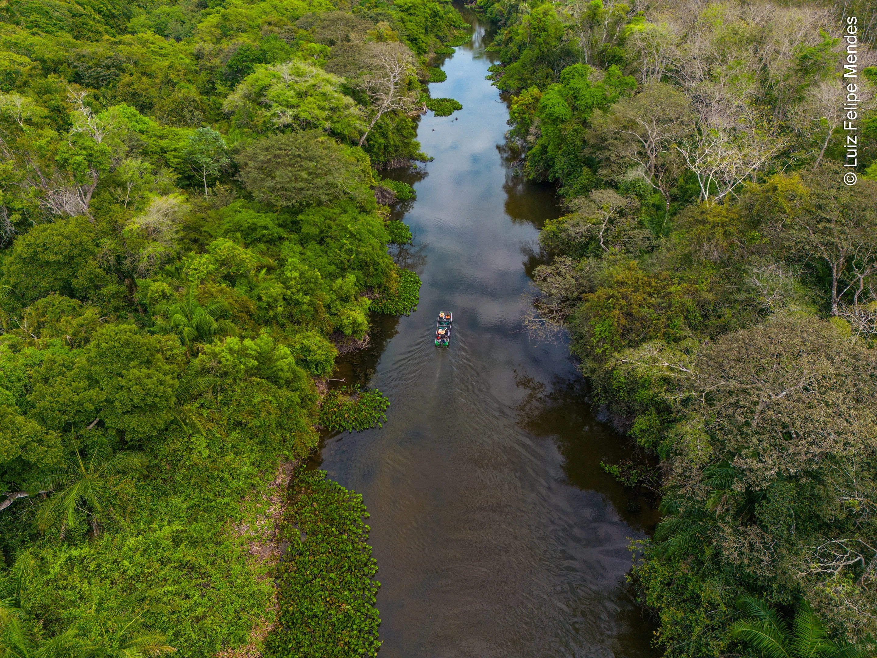 Projeto Salobra - Pantanal MS