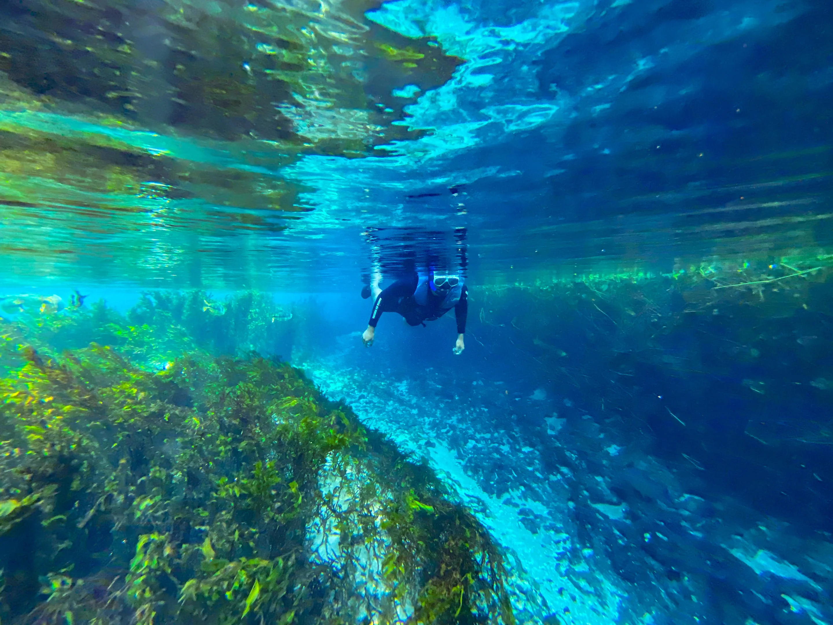 Barra do Sucuri - Bonito MS