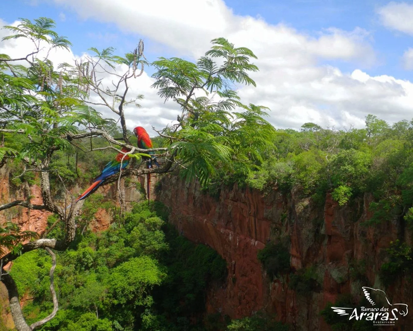 Balneário Jardim Ecopark