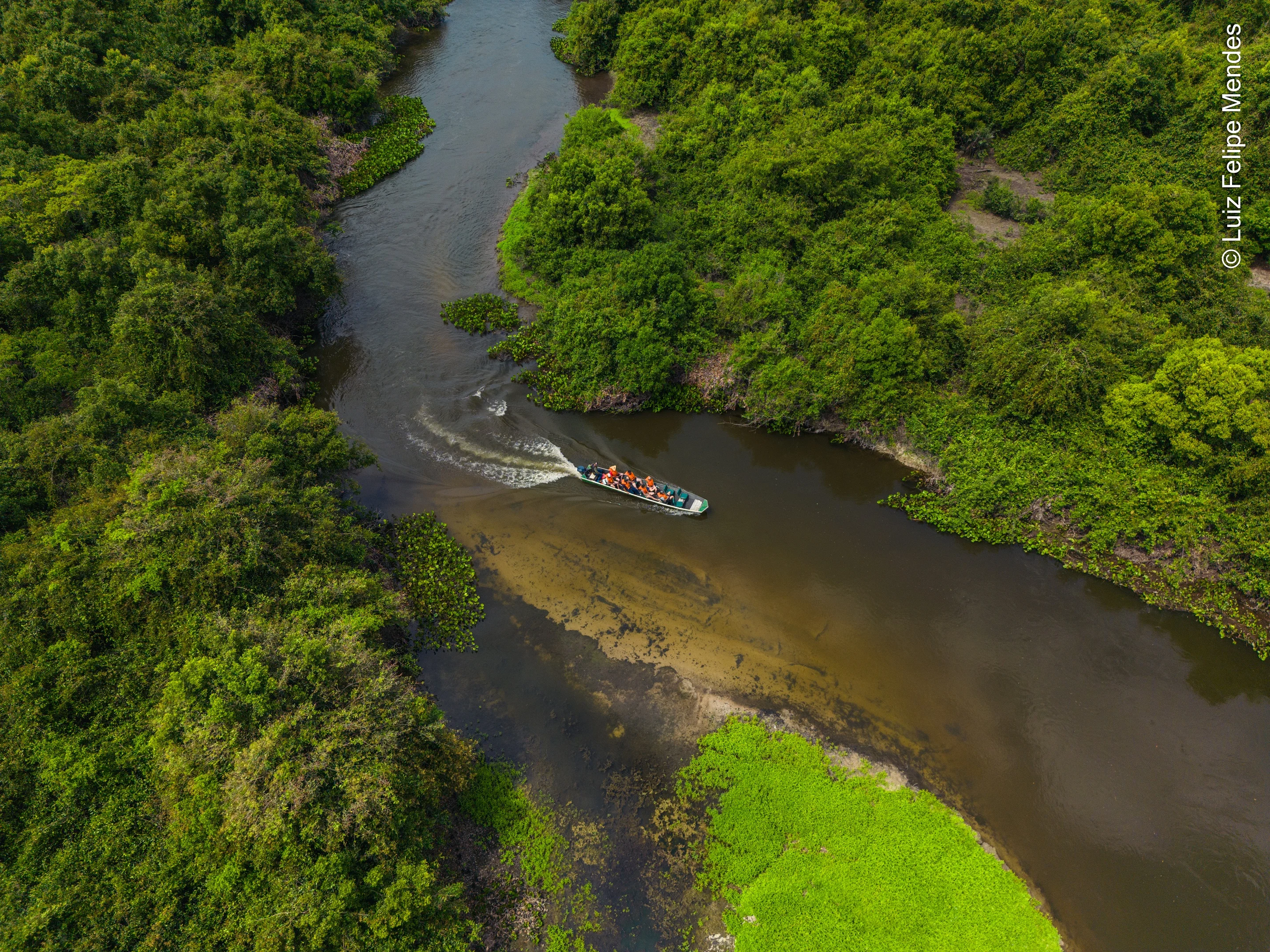 Projeto Salobra - Pantanal MS