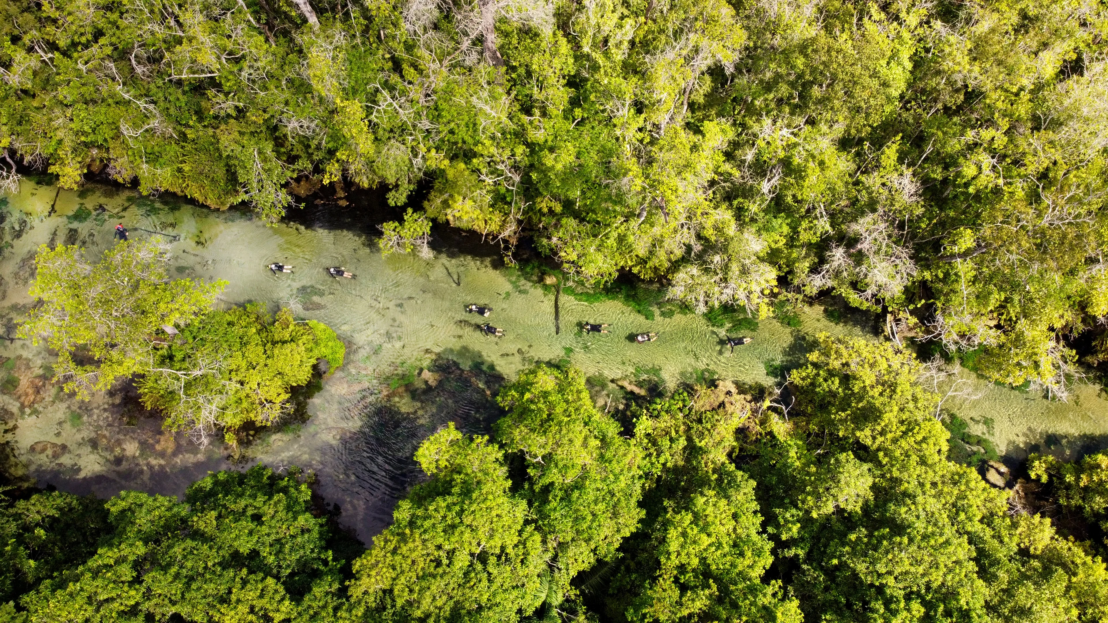 Recanto Ecológico Rio da Prata