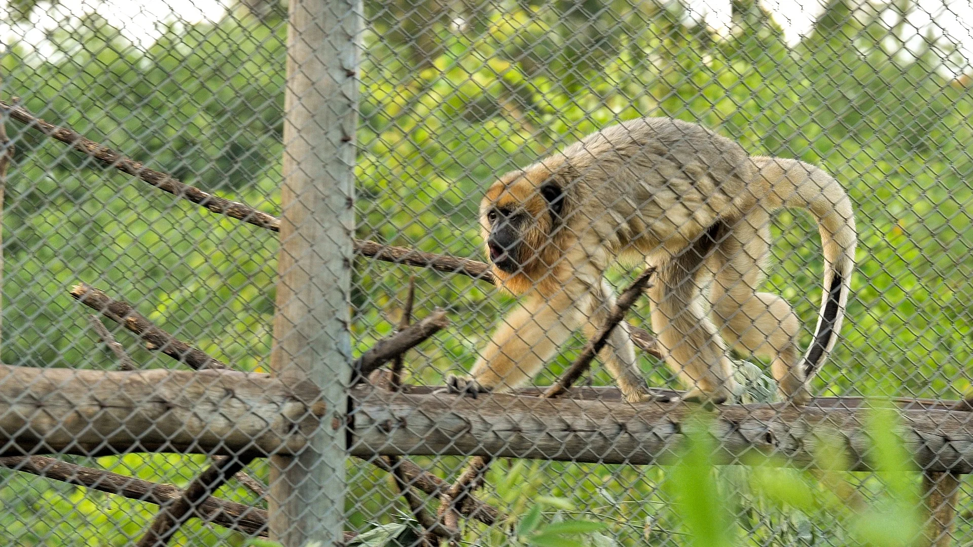 Bio Park - Bonito-MS