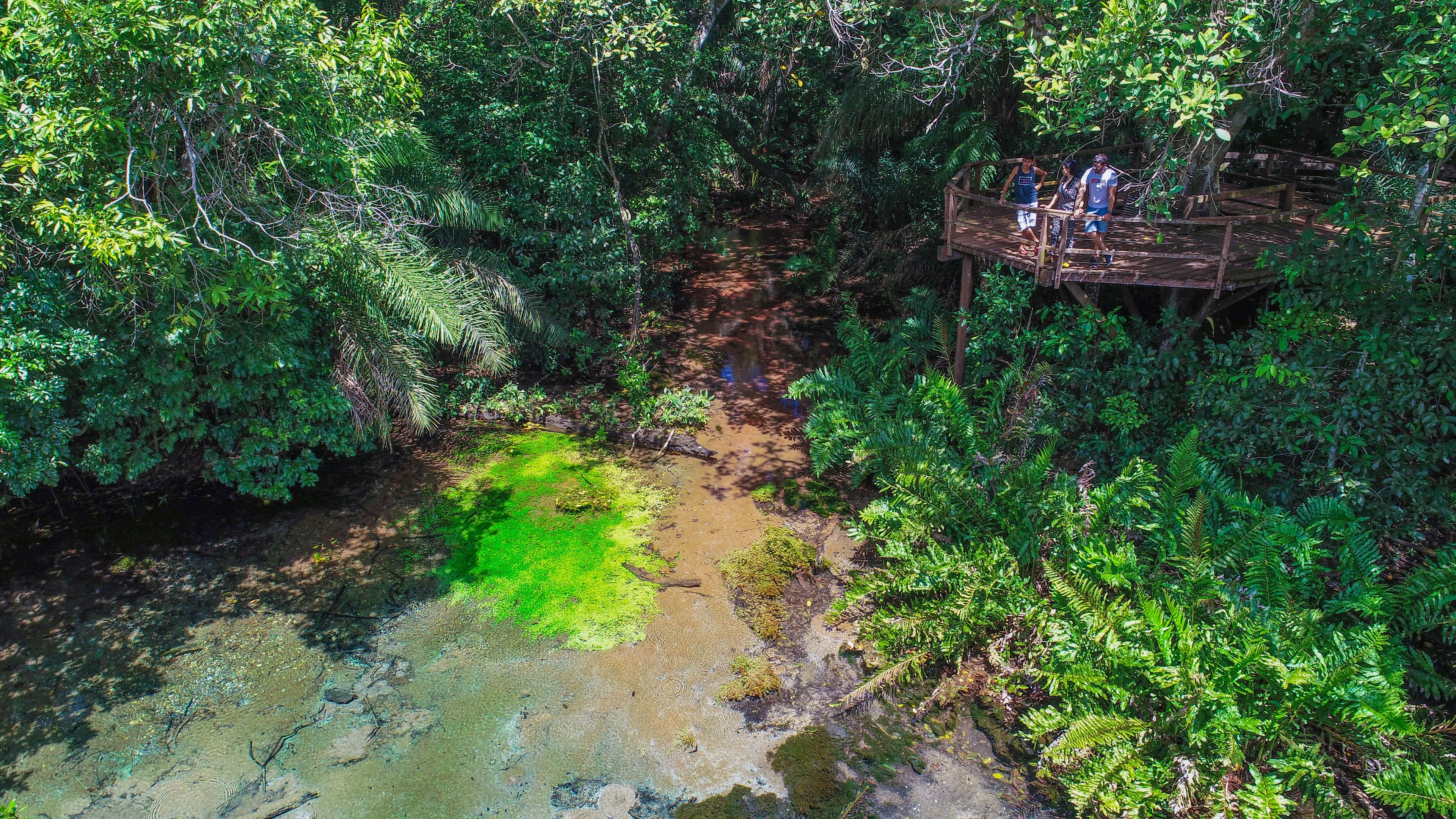 Rio Sucuri - Bonito MS