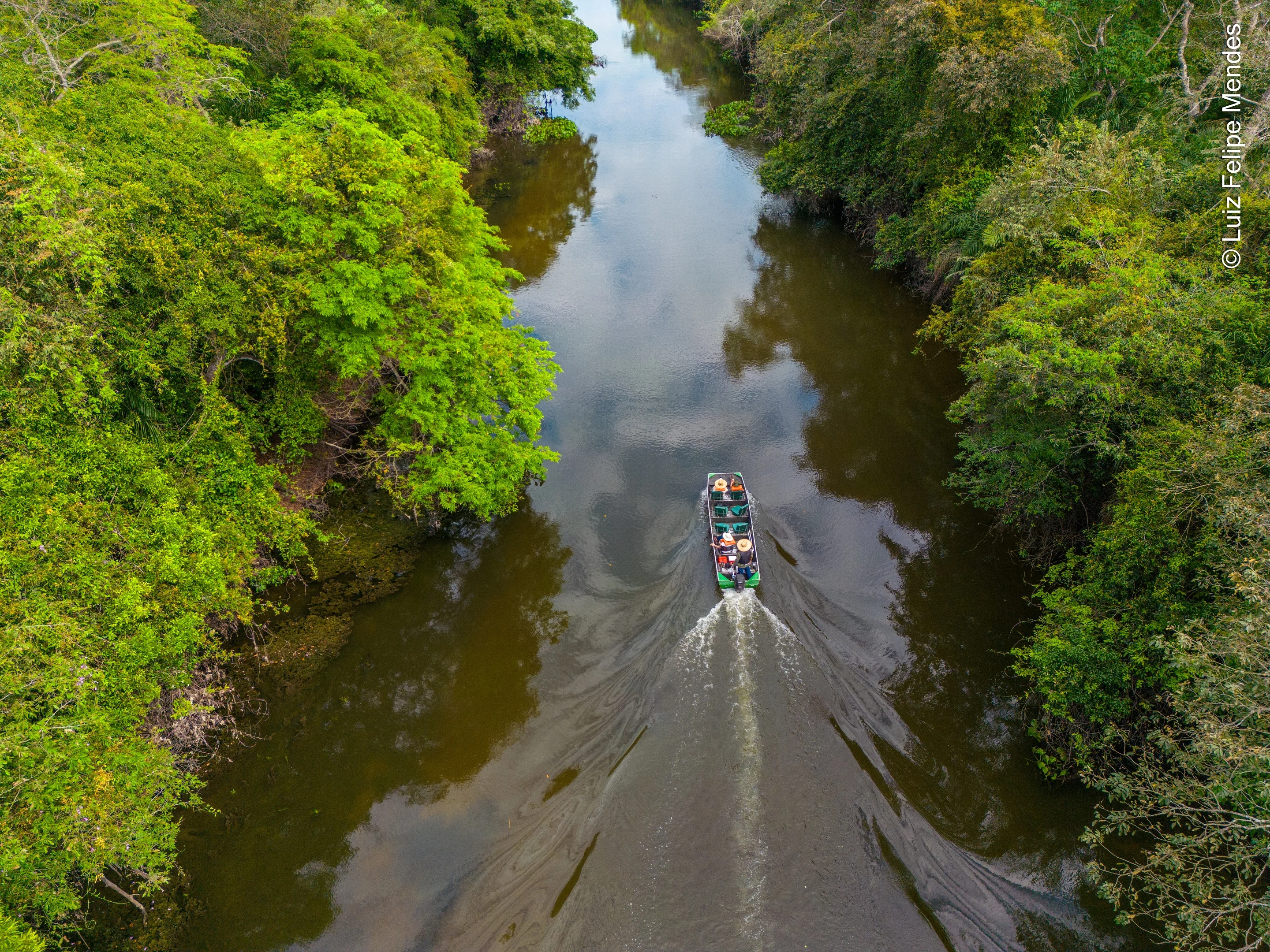 Projeto Salobra - Pantanal MS