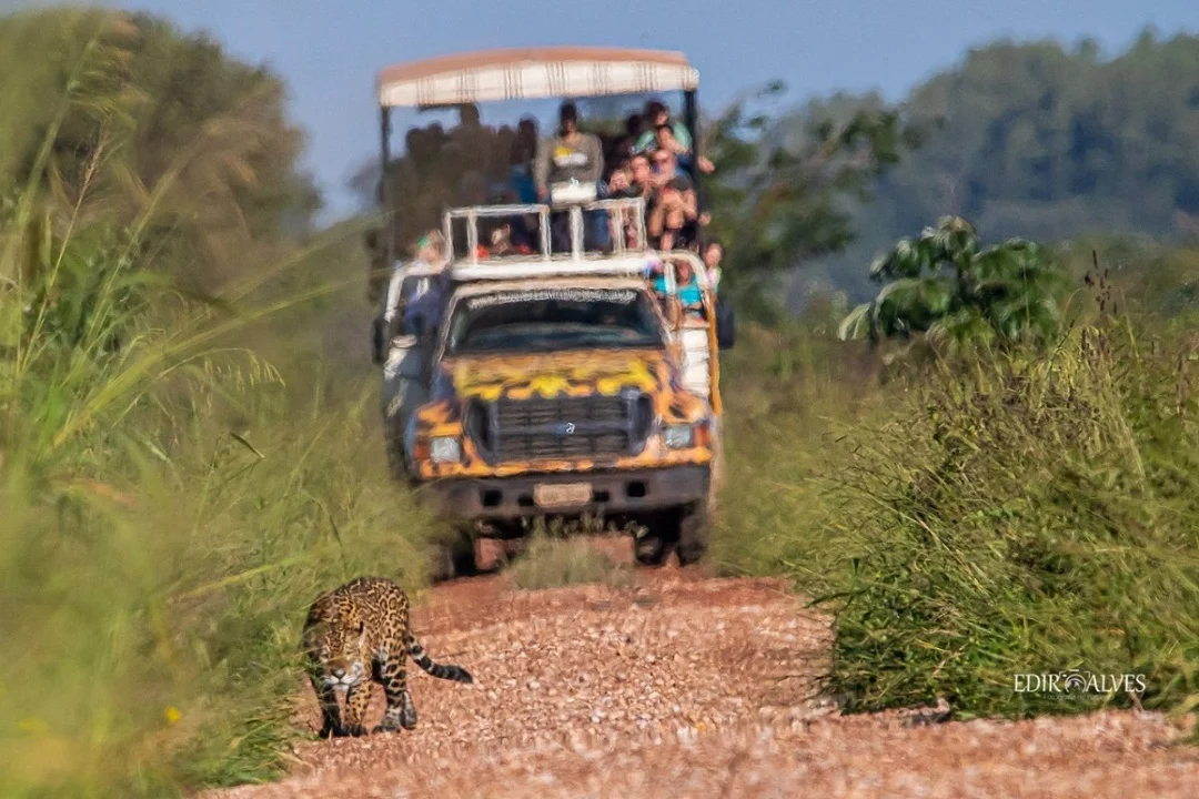 Fazenda San Francisco - Pantanal MS