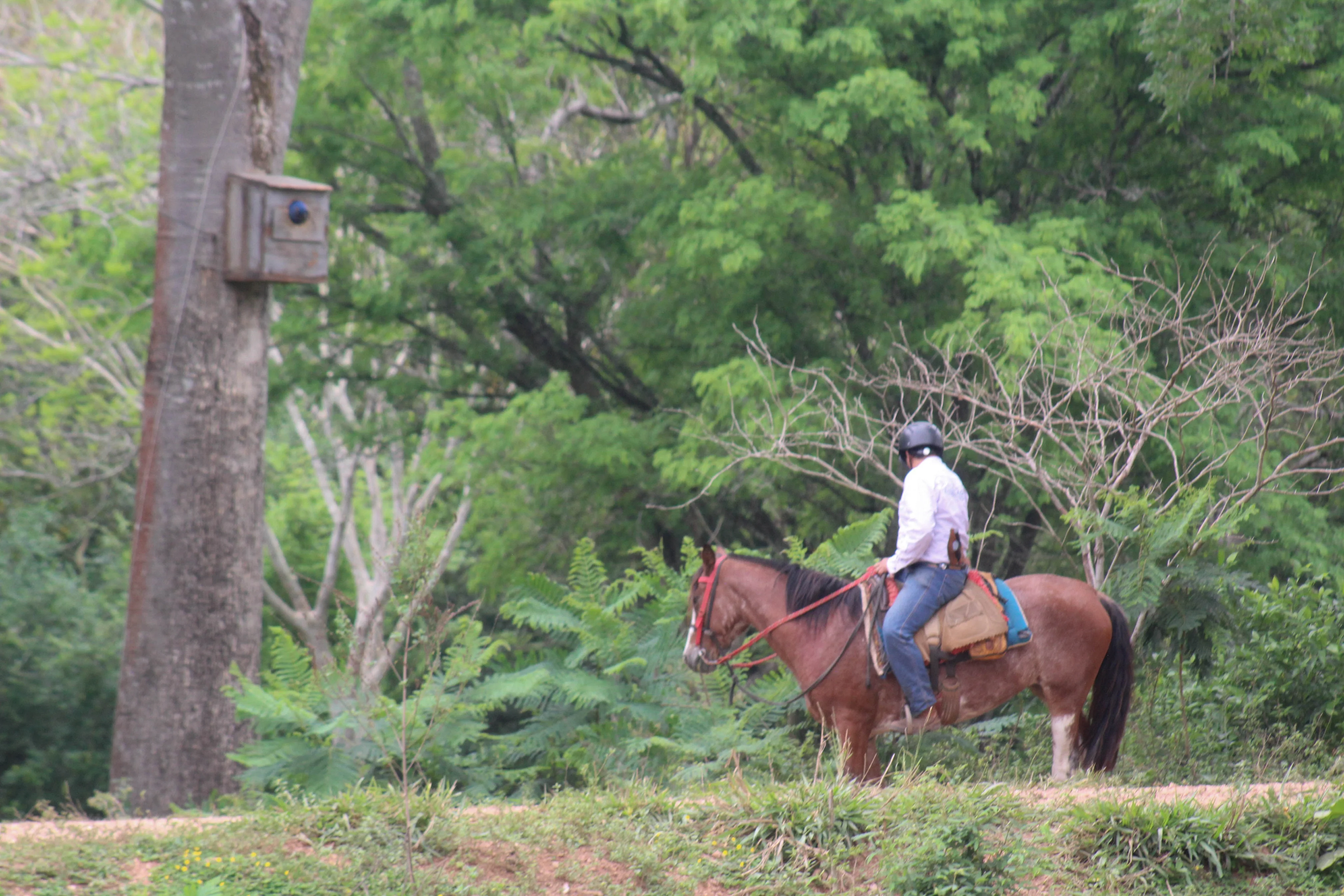 Cavalgada - Estância Mimosa - Bonito-MS