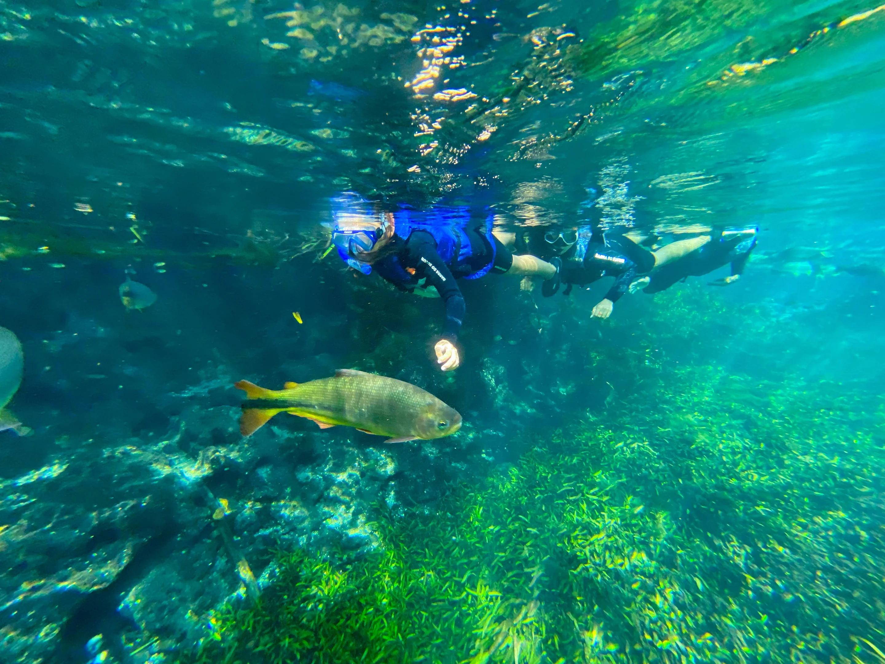 Barra do Sucuri - Bonito MS