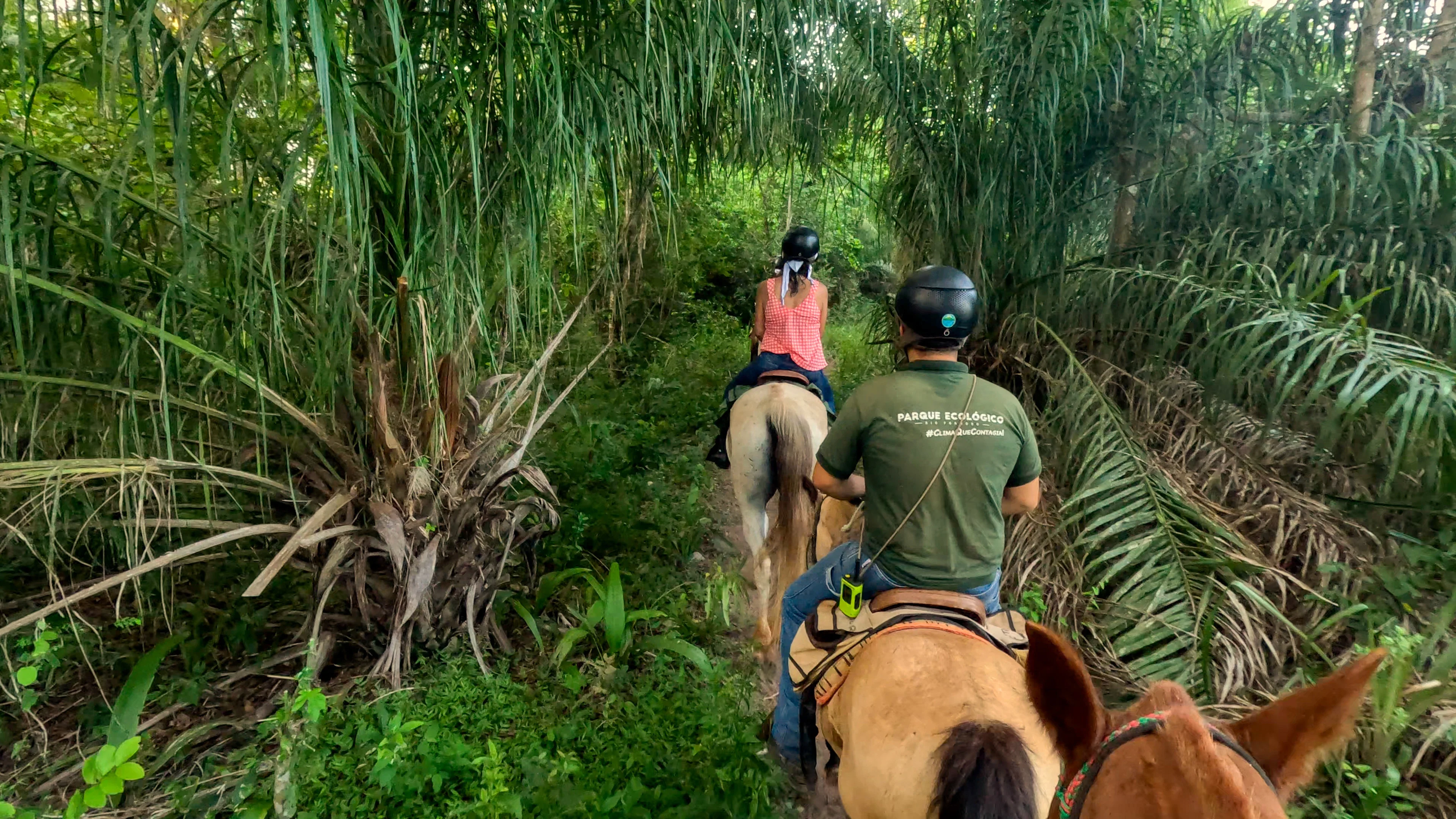Parque Ecológico - Cavalgada - Bonito-MS