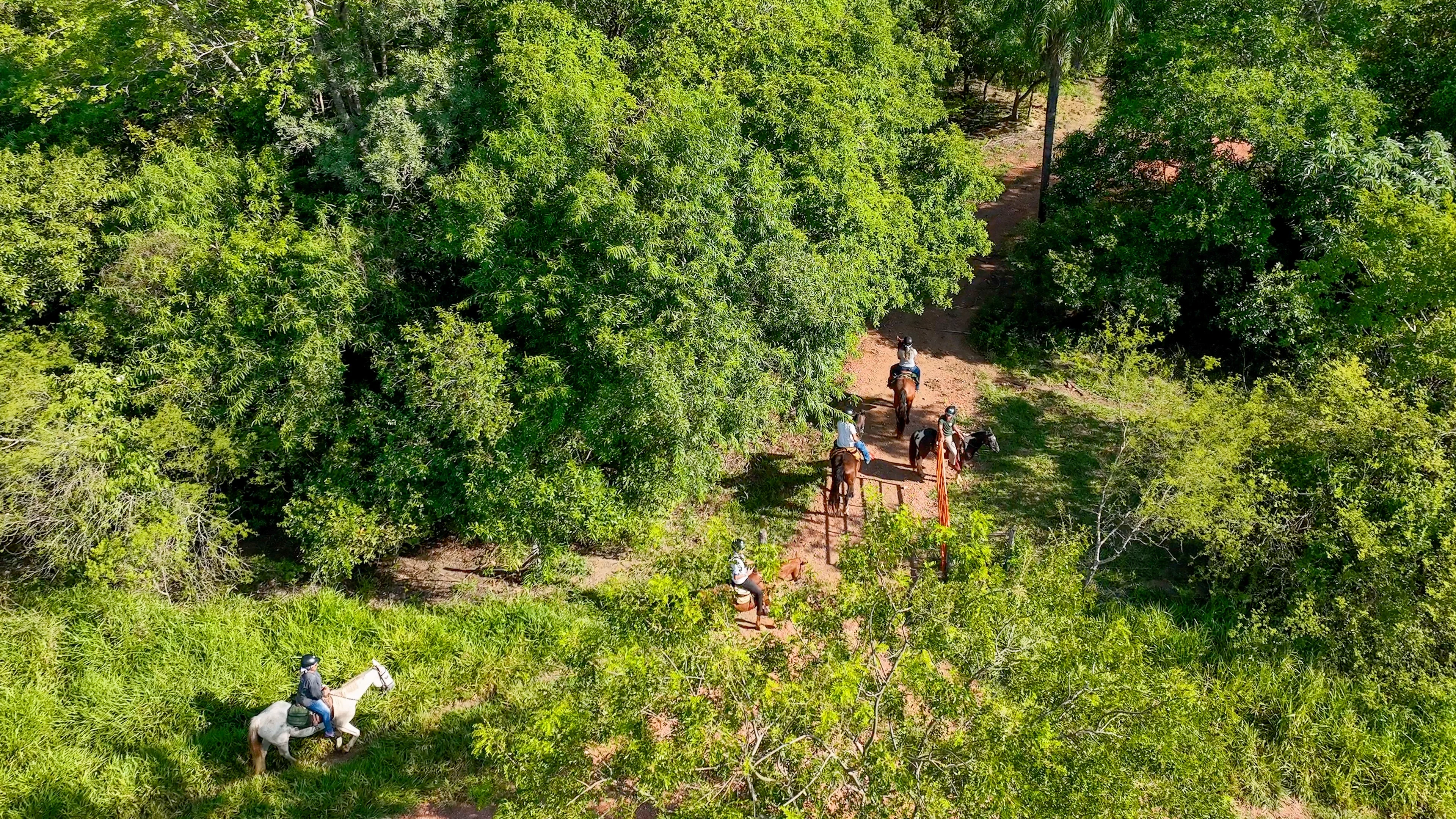 Parque Ecológico - Cavalgada - Bonito-MS