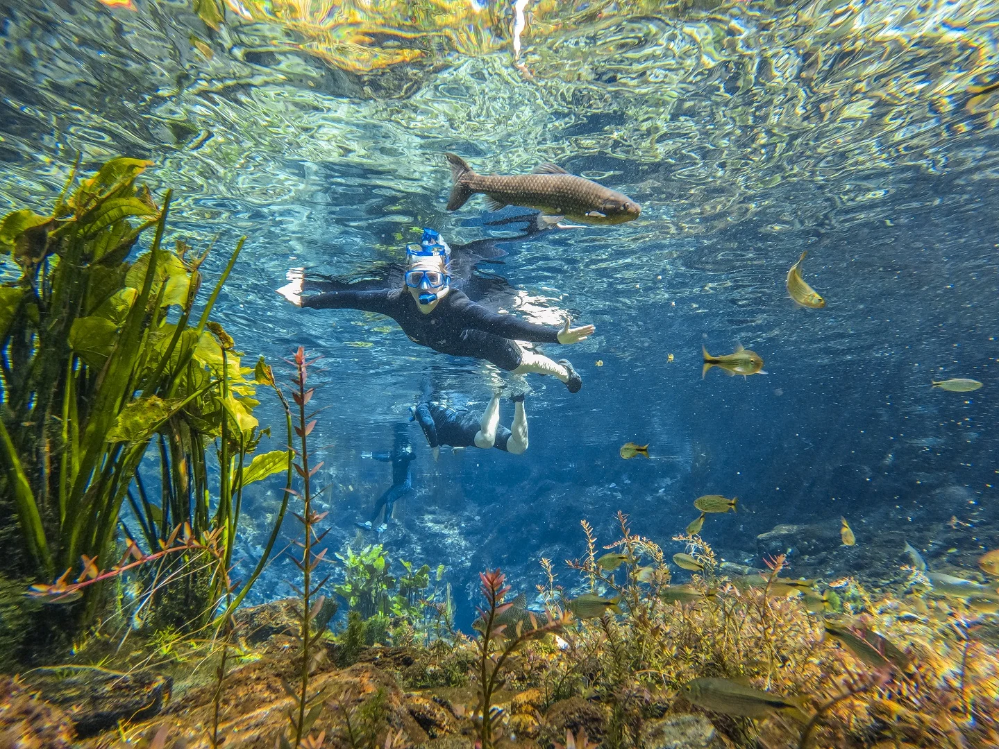 Flutuação Nascente Azul