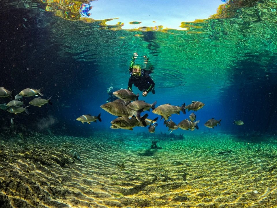 Recanto Ecológico Rio da Prata
