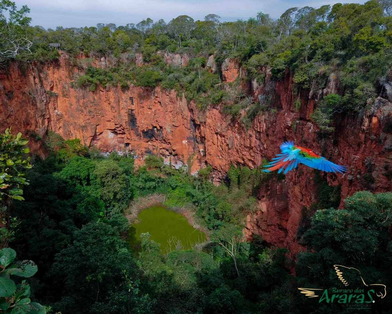 Buraco das Araras
