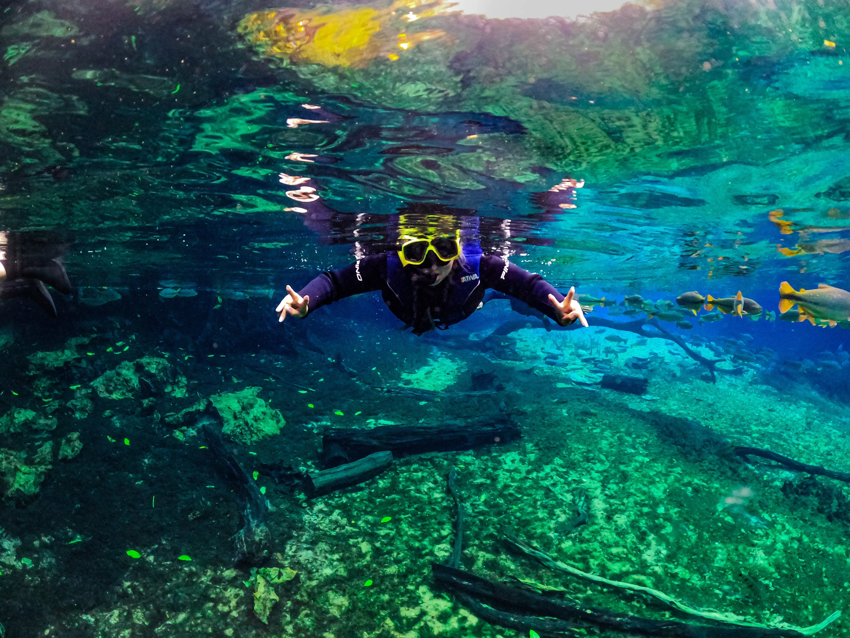 Recanto Ecológico Rio da Prata