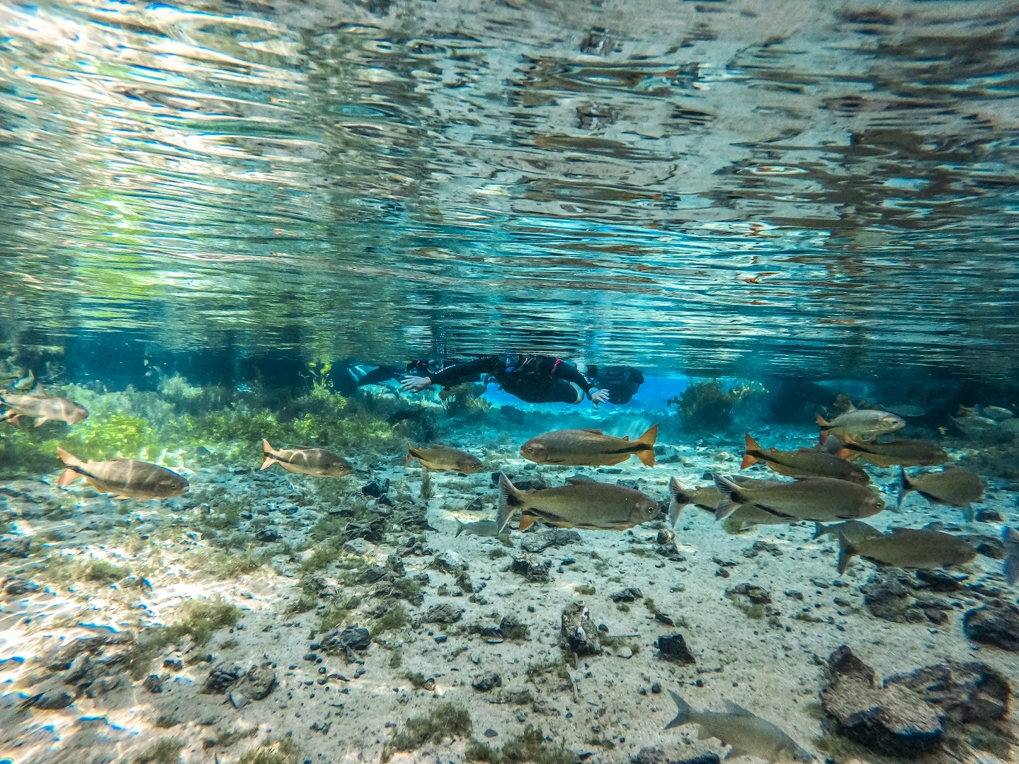 Flutuação Nascente Azul