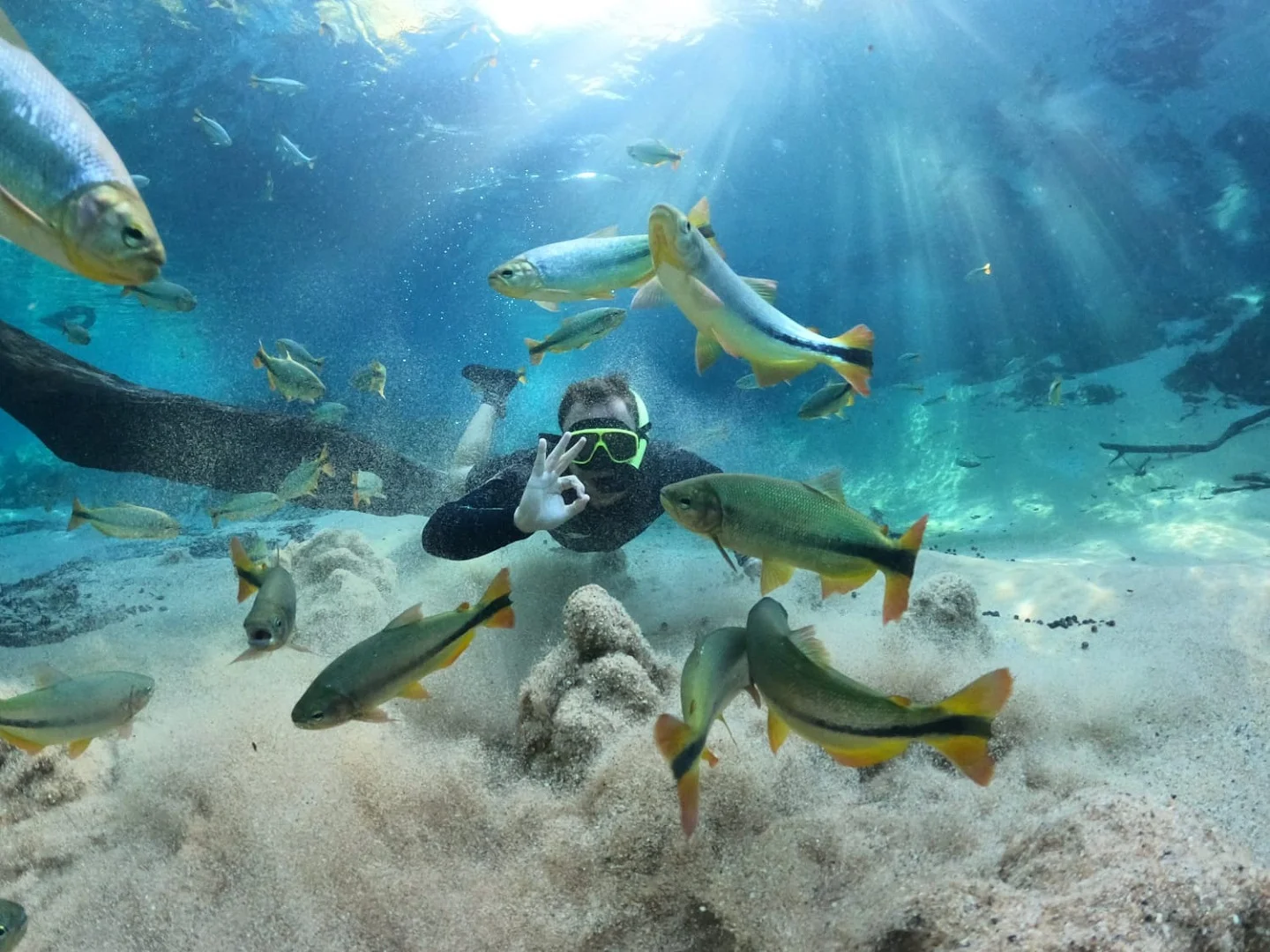 Recanto Ecológico Rio da Prata