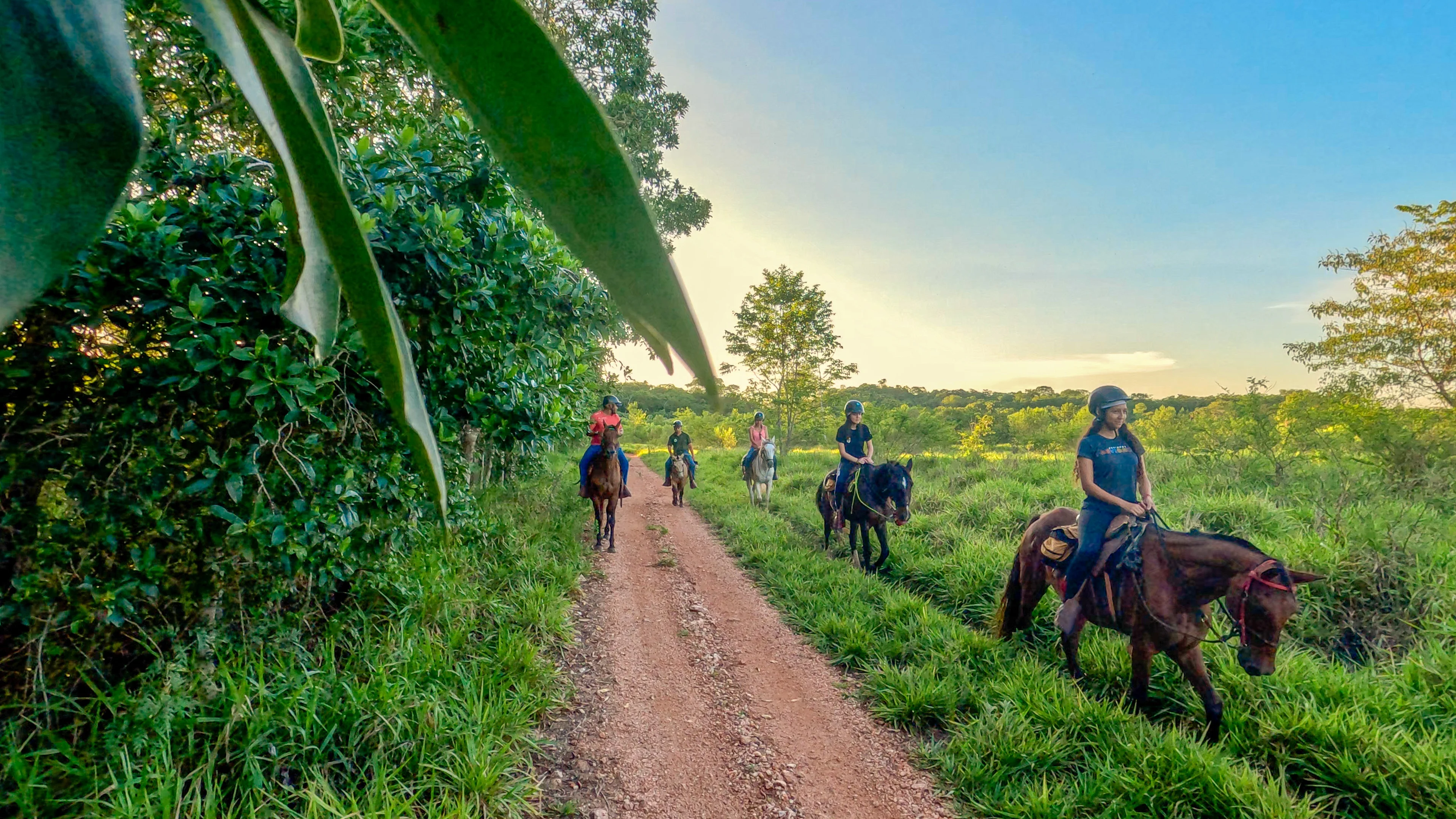 Parque Ecológico - Cavalgada - Bonito-MS