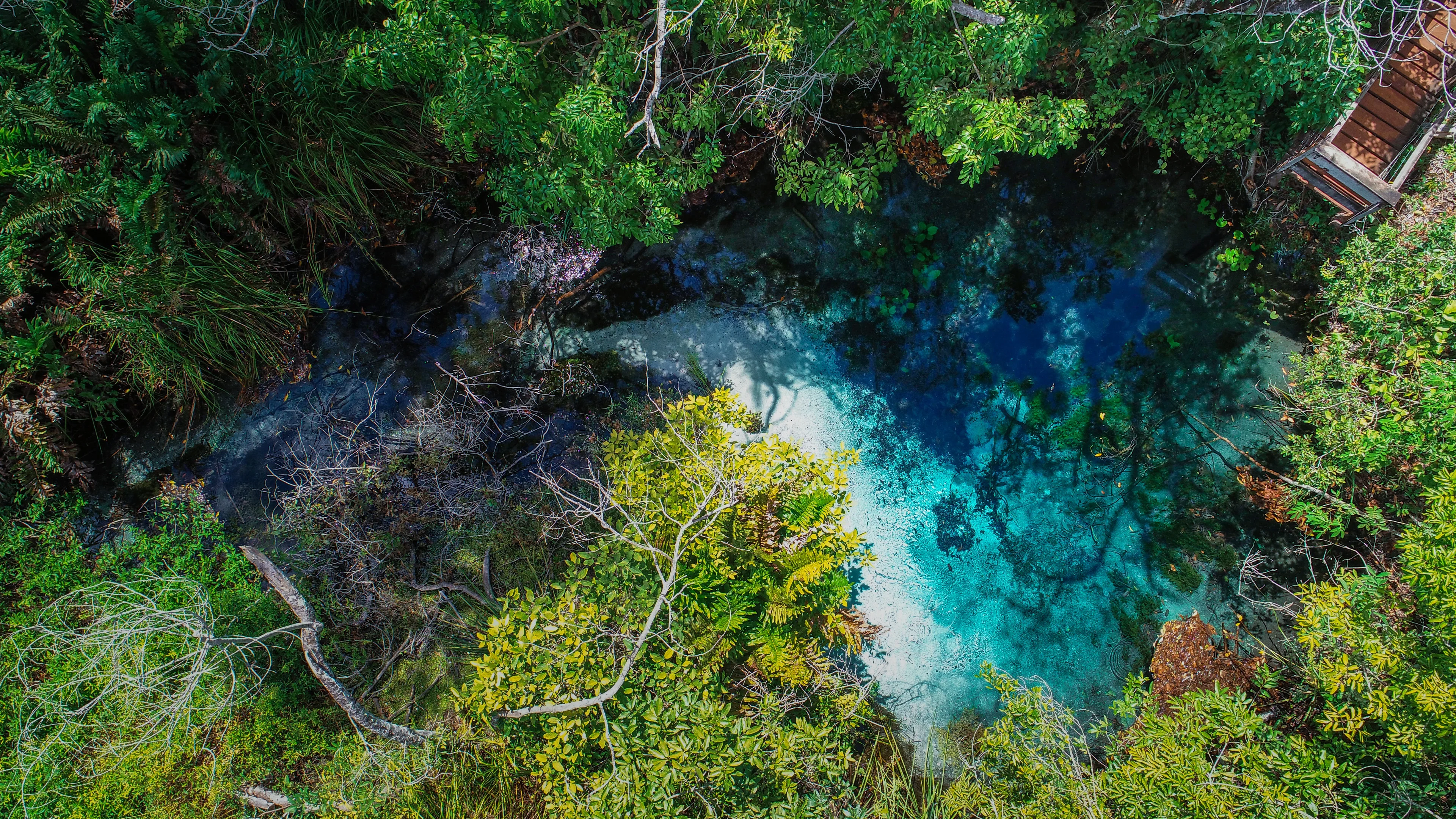 Rio Sucuri - Bonito MS