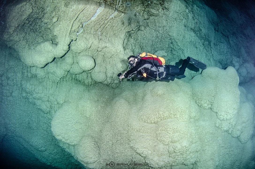 Gruta do Mimoso - Mergulho - Bonito MS