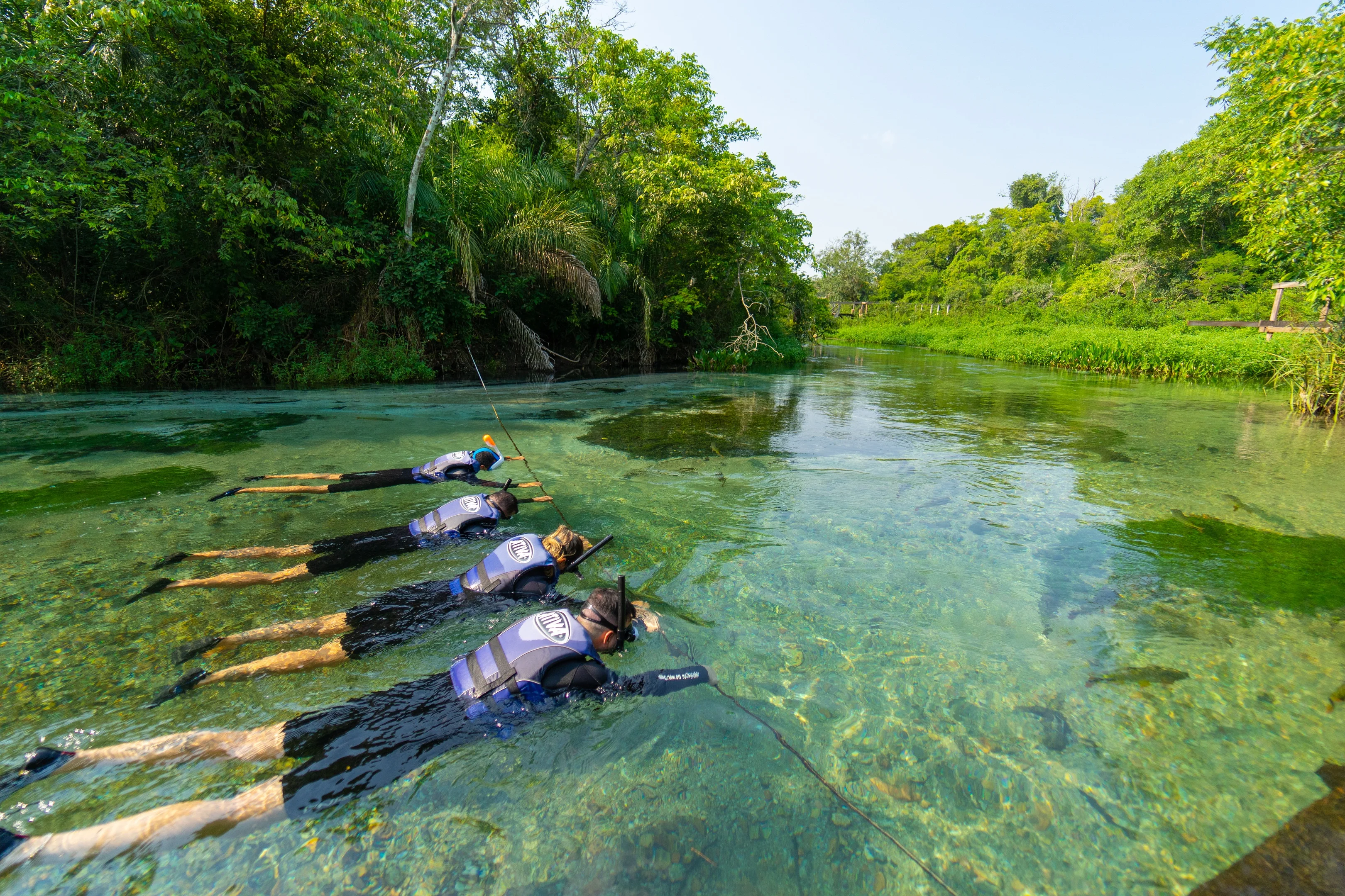 Barra do Sucuri - Bonito MS