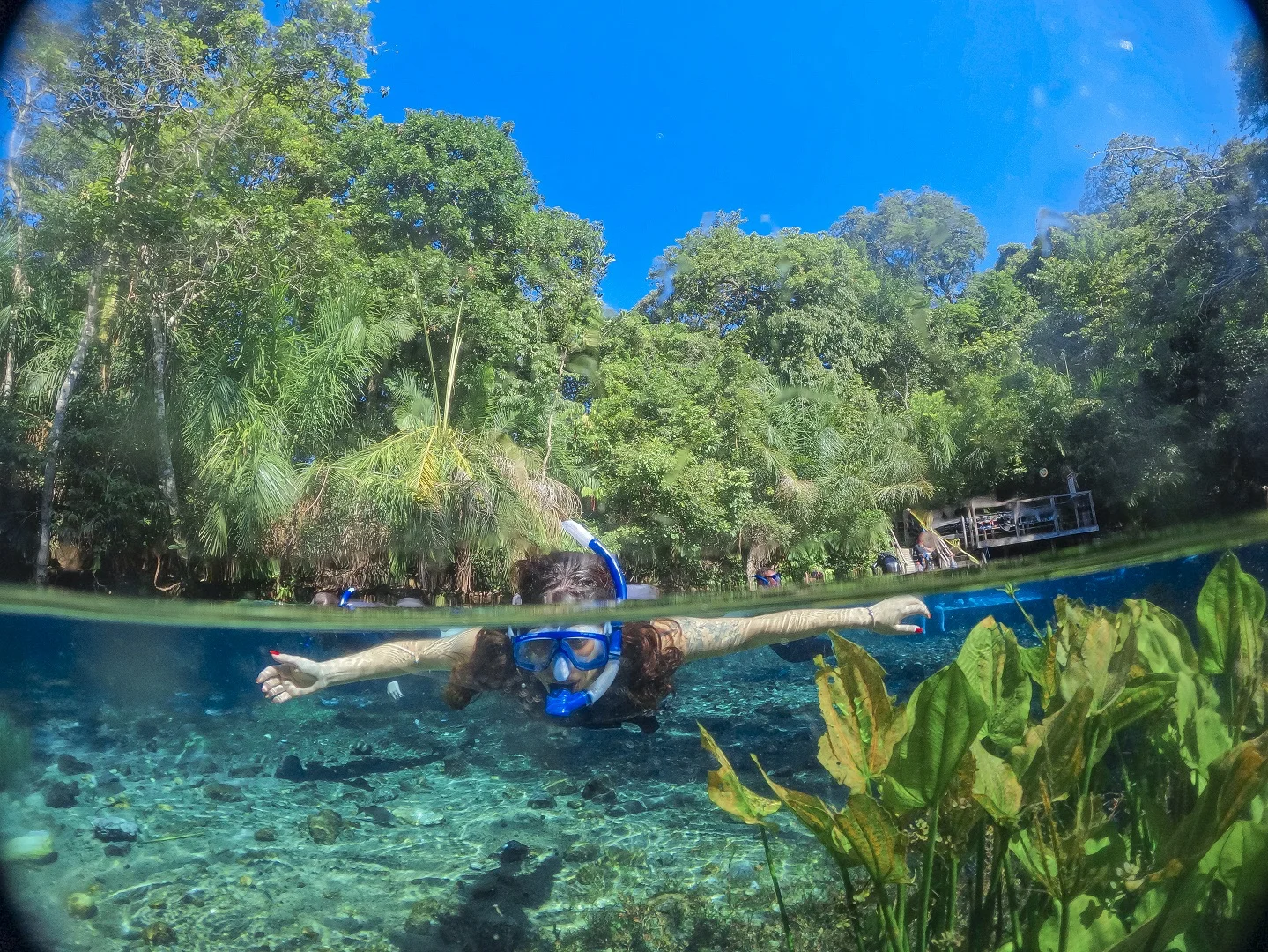 Flutuação Nascente Azul
