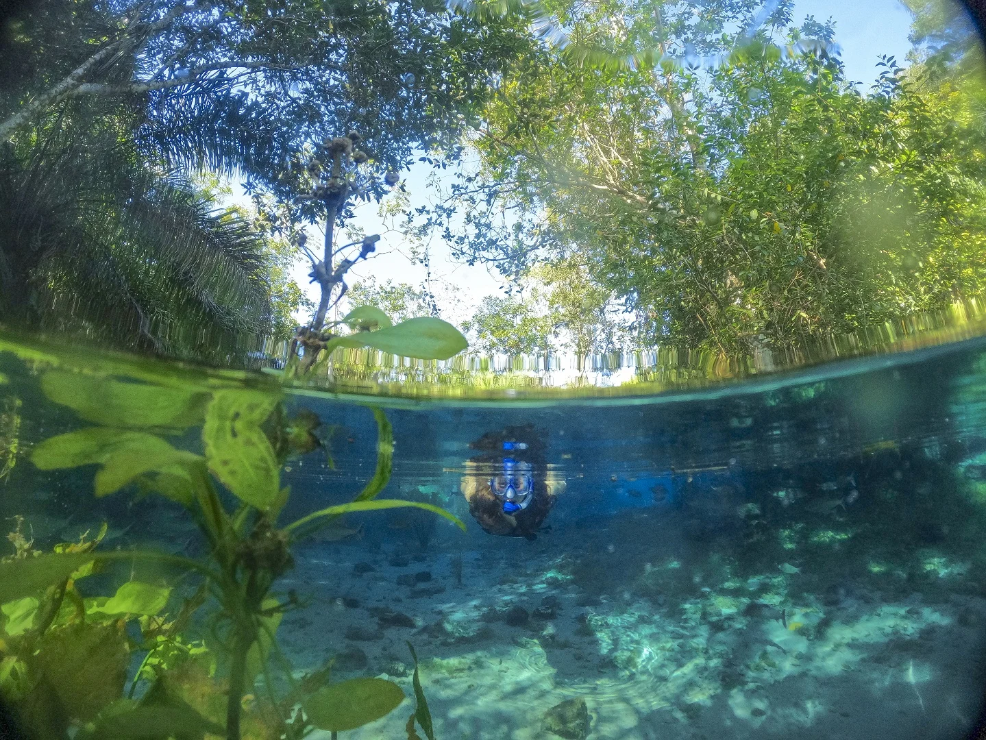 Flutuação Nascente Azul