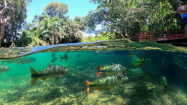 Refúgio da Barra - Bonito MS