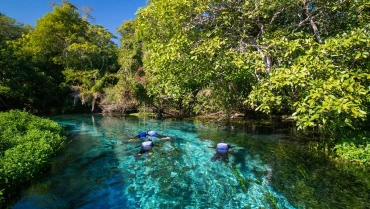 Barra do Sucuri - Bonito MS